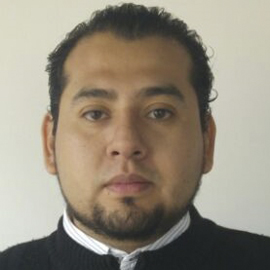 Ing. Rogelio Rosas Moran